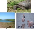 Viaje a Galapagos